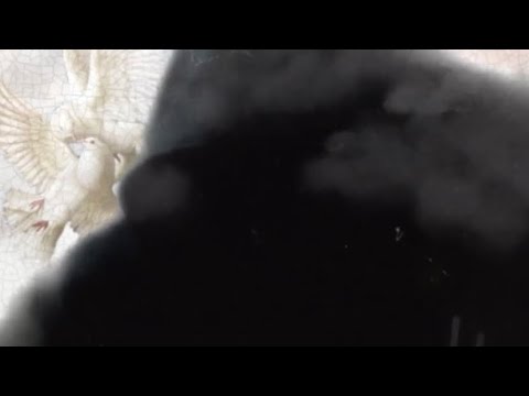 Winds of Darkness